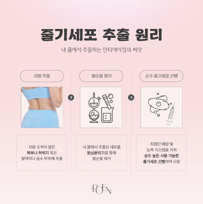 스크린샷 2026-09-10 152802 - 강남 피부과 포엔의원 / POEN Clinic / POEN皮膚科 / POEN クリニック