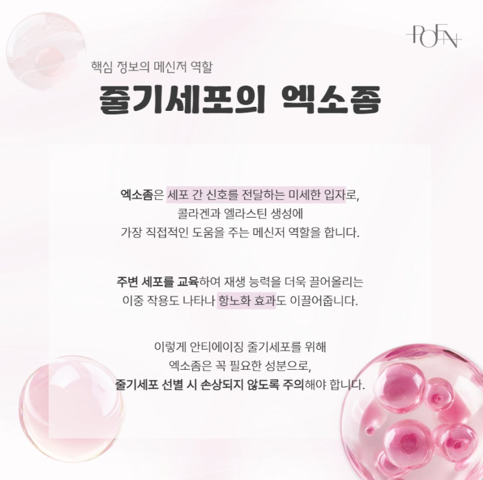 스크린샷 2026-09-10 152815 - 강남 피부과 포엔의원 / POEN Clinic / POEN皮膚科 / POEN クリニック